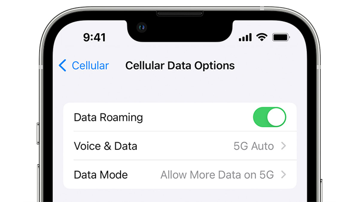 Cellular Data Options on an iPhone 13