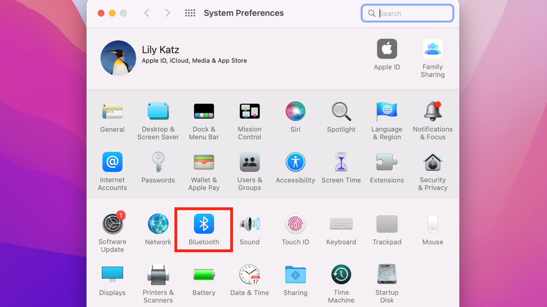 Macbook Air System preferences Bluetooth