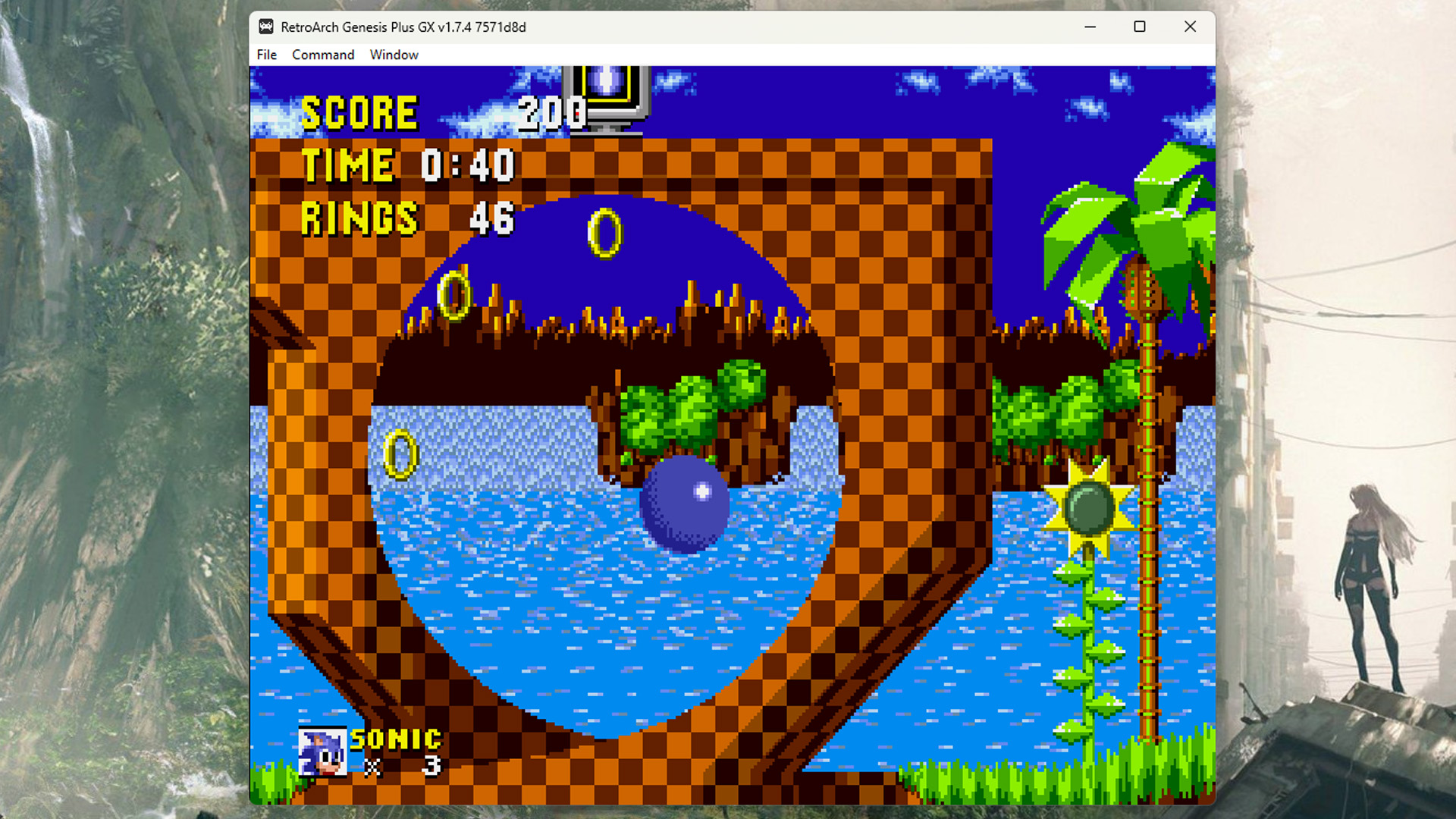 RetroArch Sega screenshot