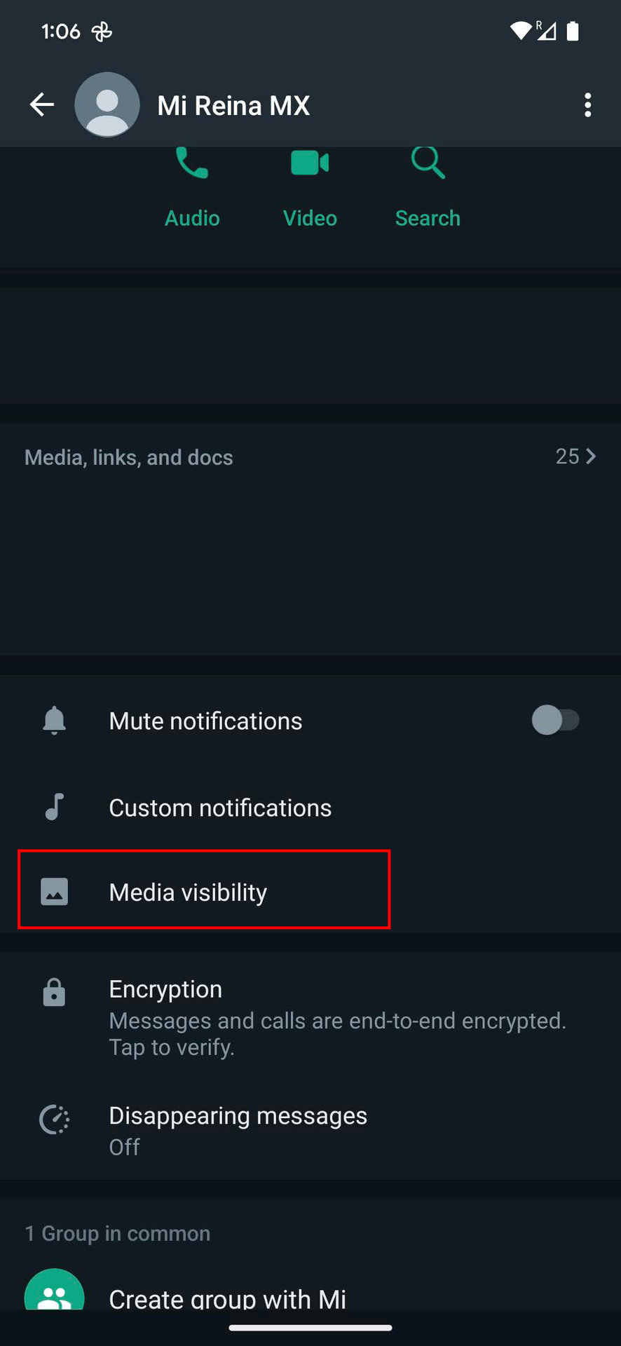 Turn off Media visibility for specific contacts on WhatsApp for Android 3