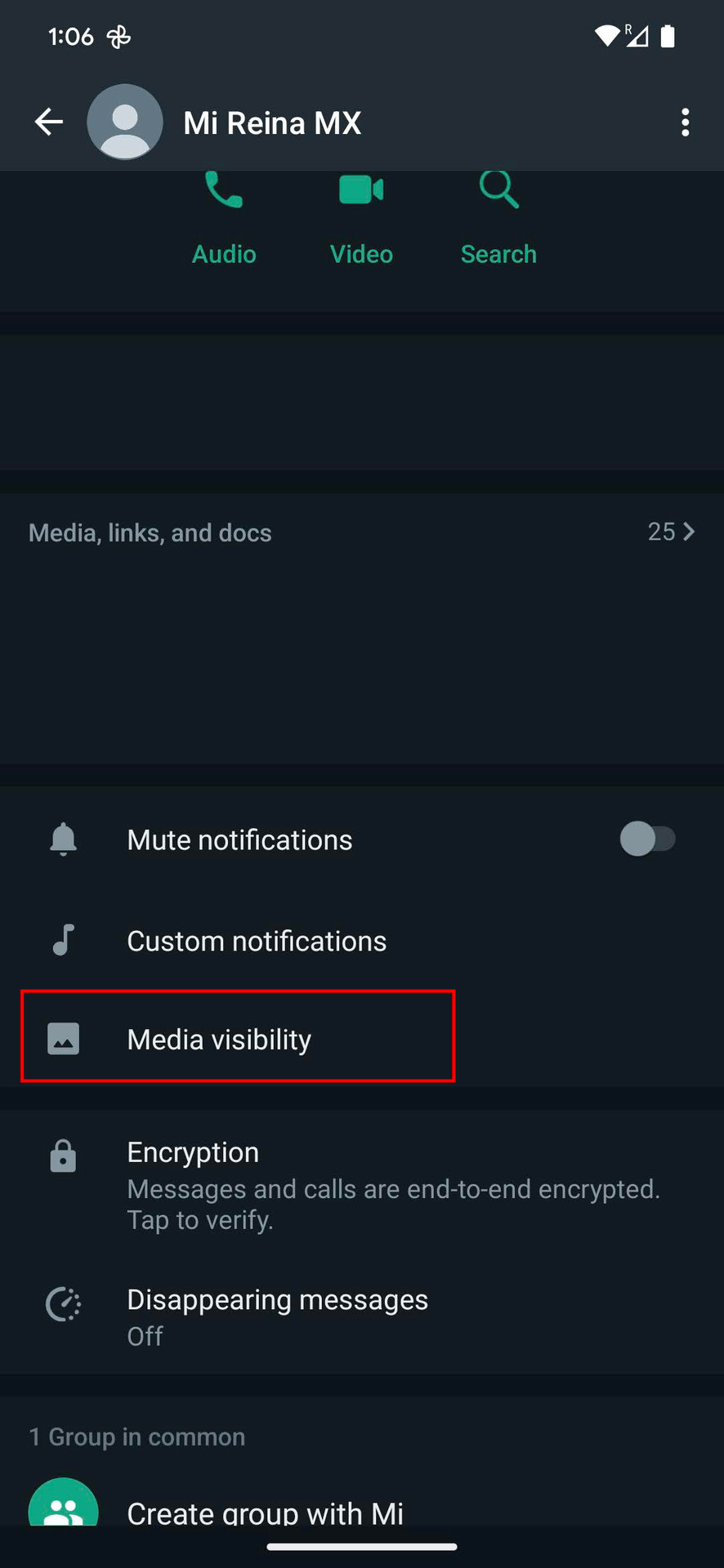 How To Stop WhatsApp From Saving Photos And Videos In Your Gallery
