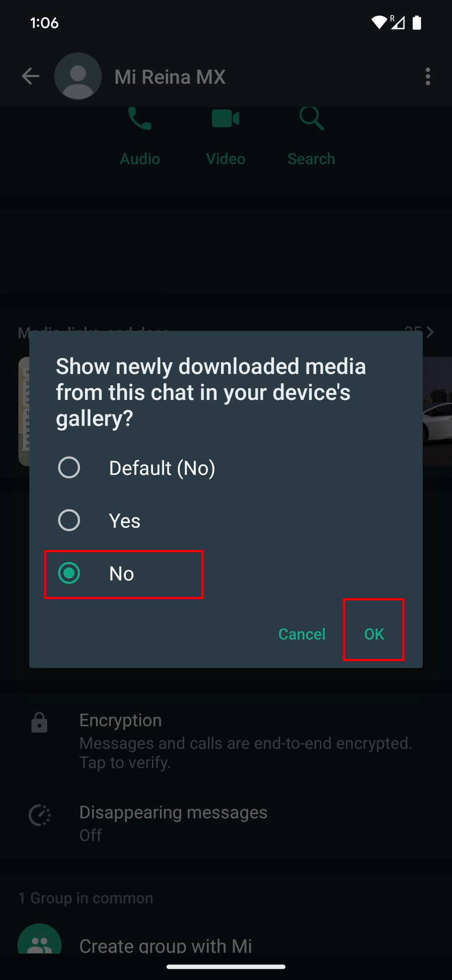 Turn off Media visibility for specific contacts on WhatsApp for Android 4