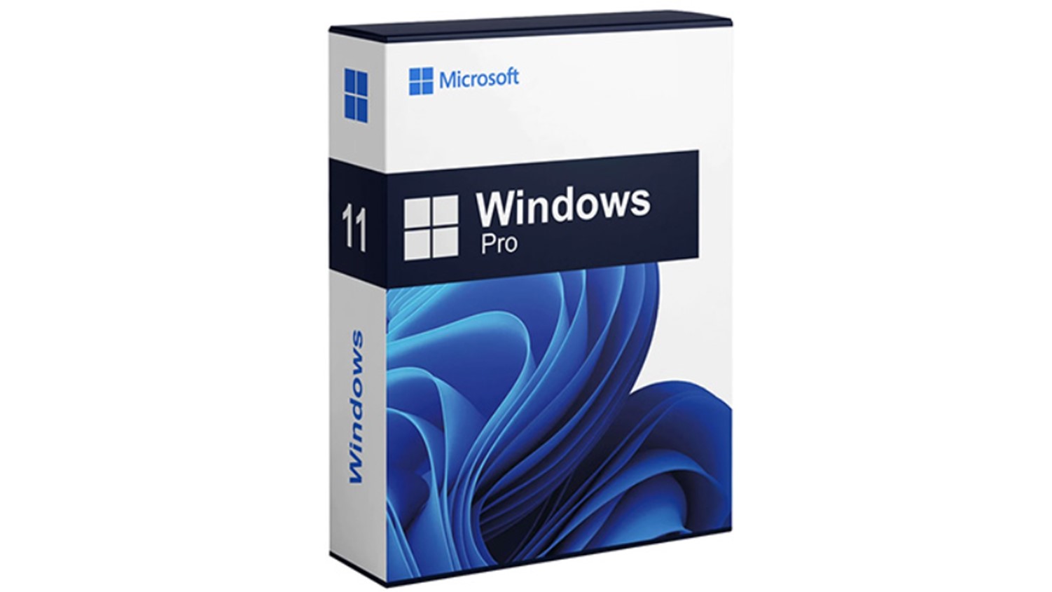 Windows 11 Pro Product Image