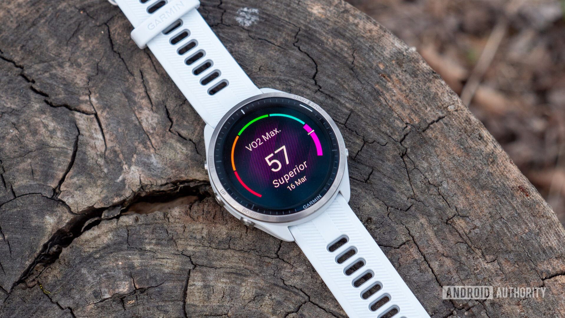 Garmin Forerunner 965 Review AMOLED Excellence Android Authority