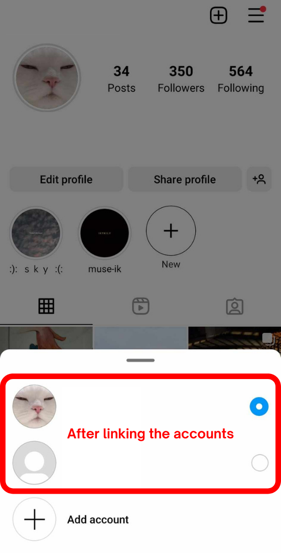Instagram switch login after linking accounts