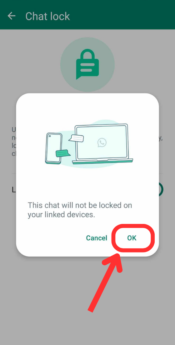 Whatsapp message chat lock confirmation ok