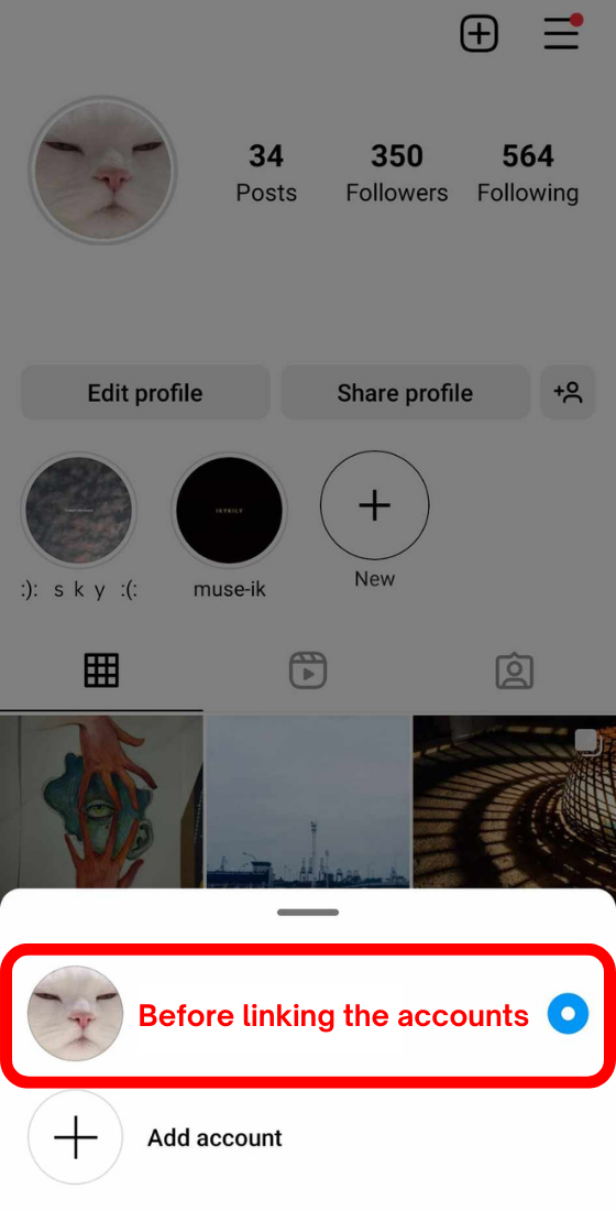 Instagram switch login before linking accounts