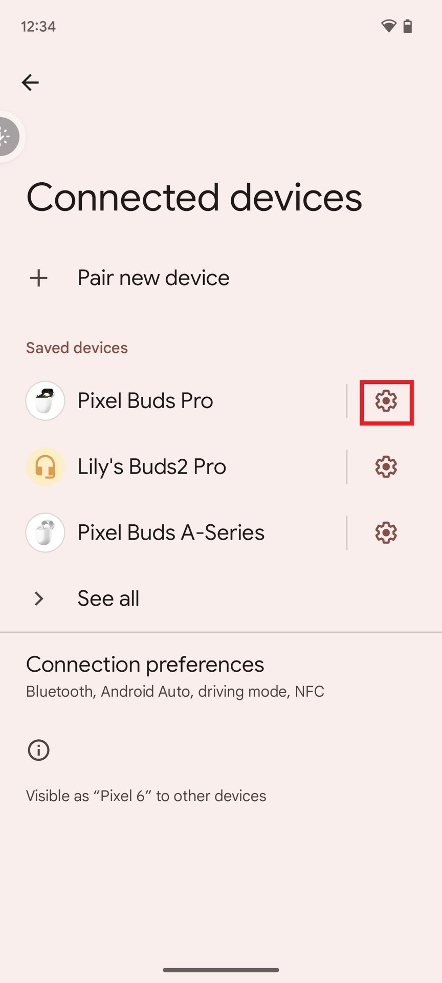 Google Pixel Buds Pro settings cog forget device