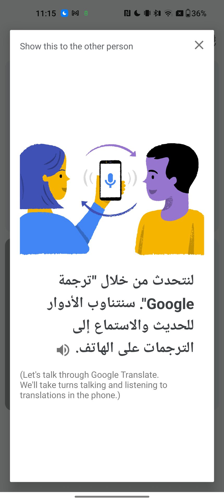Google Translate disclaimer