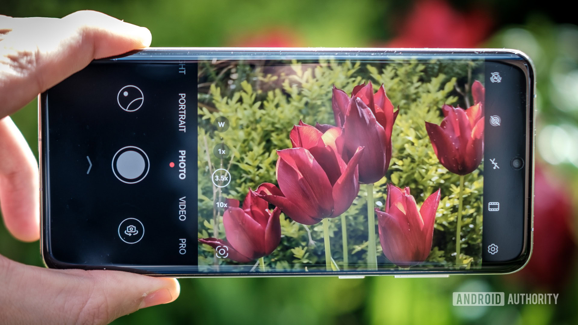 Huawei P60 Pro review: Outstanding camera with caveats - Techgoondu