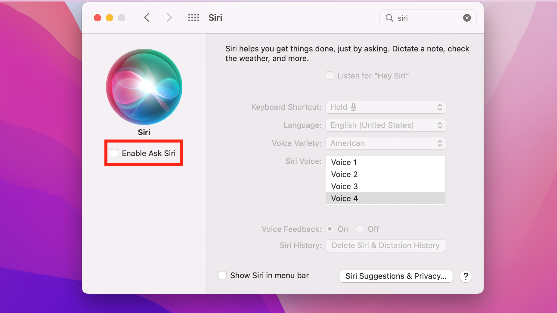 The Macbook Air Siri Settings with Siri toggled off.