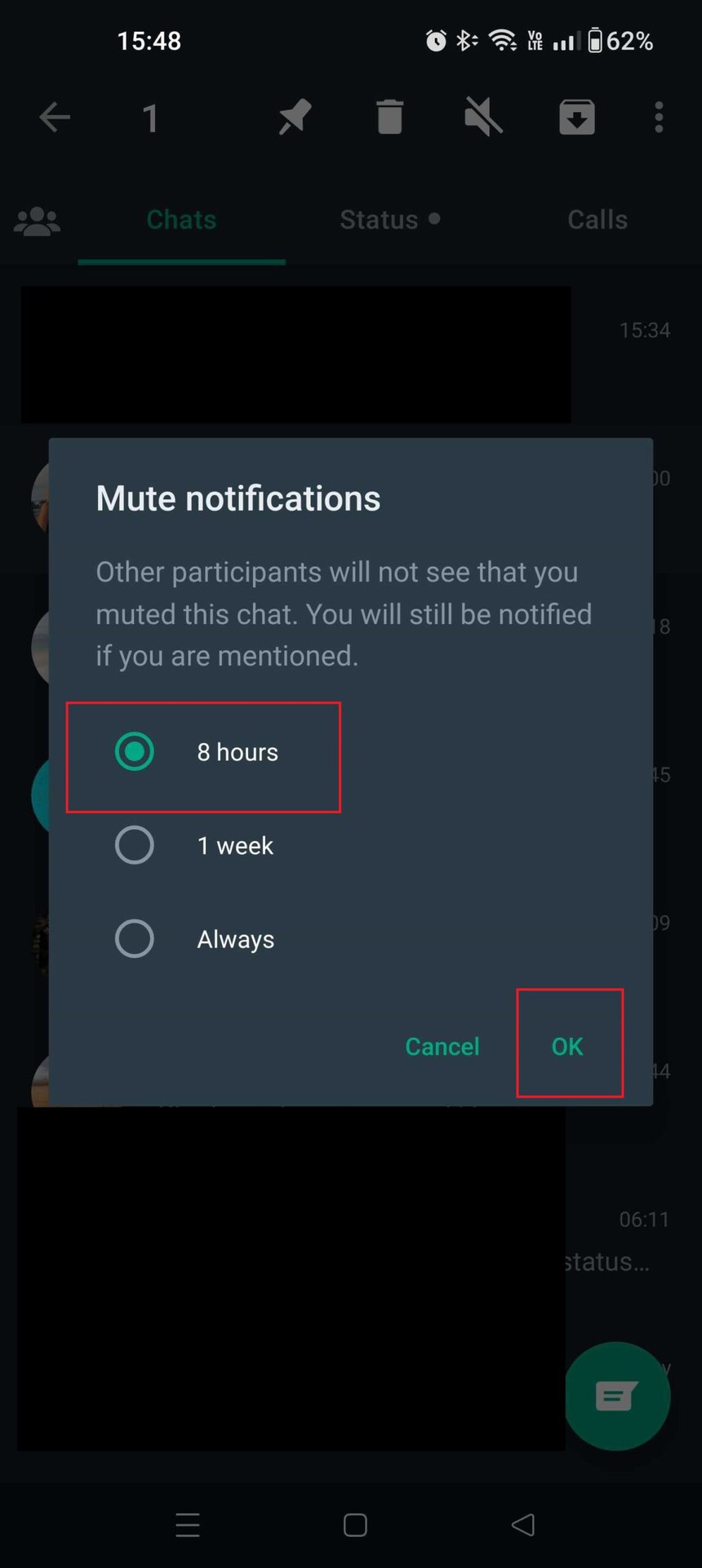 WhatsApp Mute Chat Options