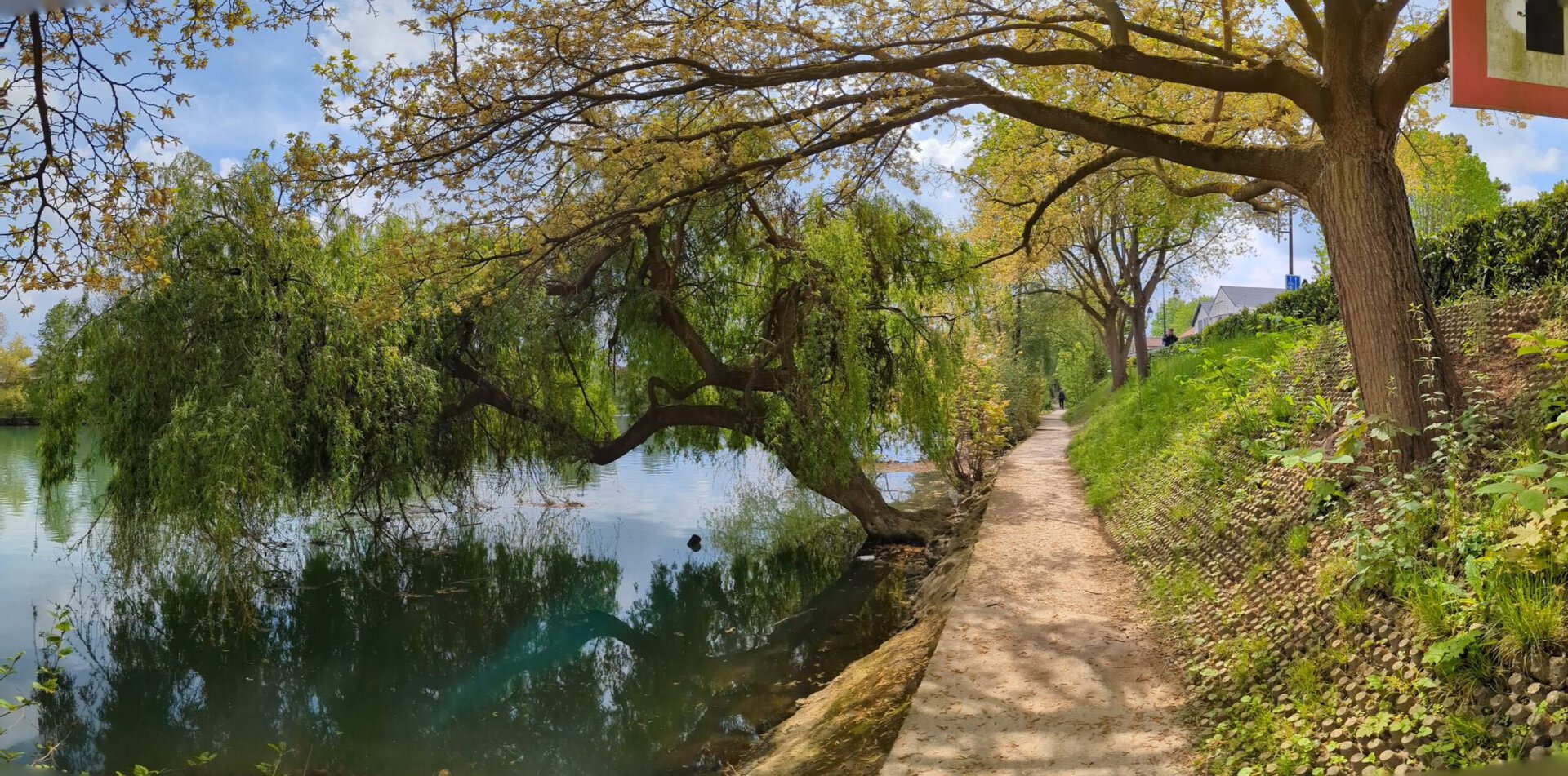 Google Pixel 7 Pro panorama muestra paisaje 3