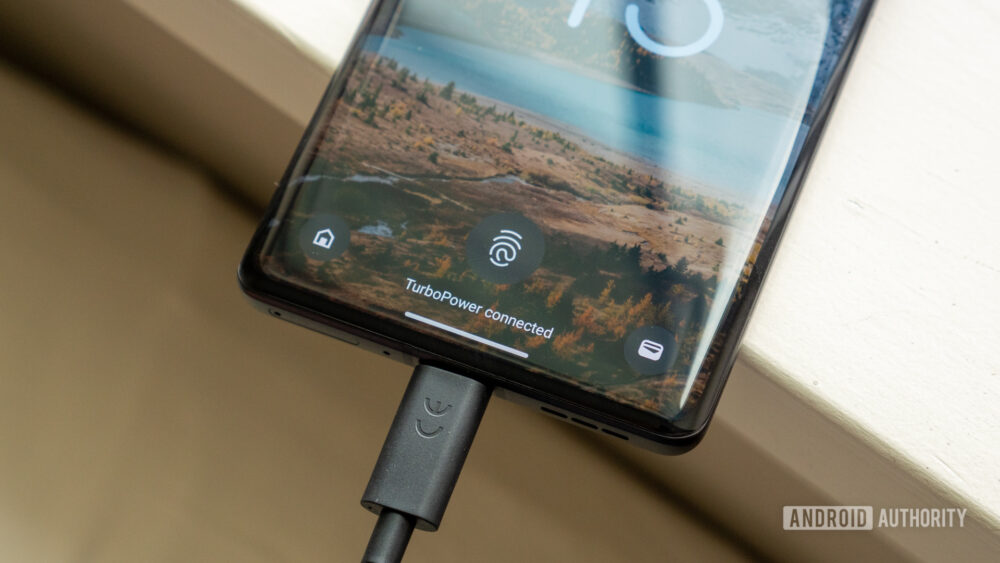 Should I leave my phone plugged in overnight? Android Authority