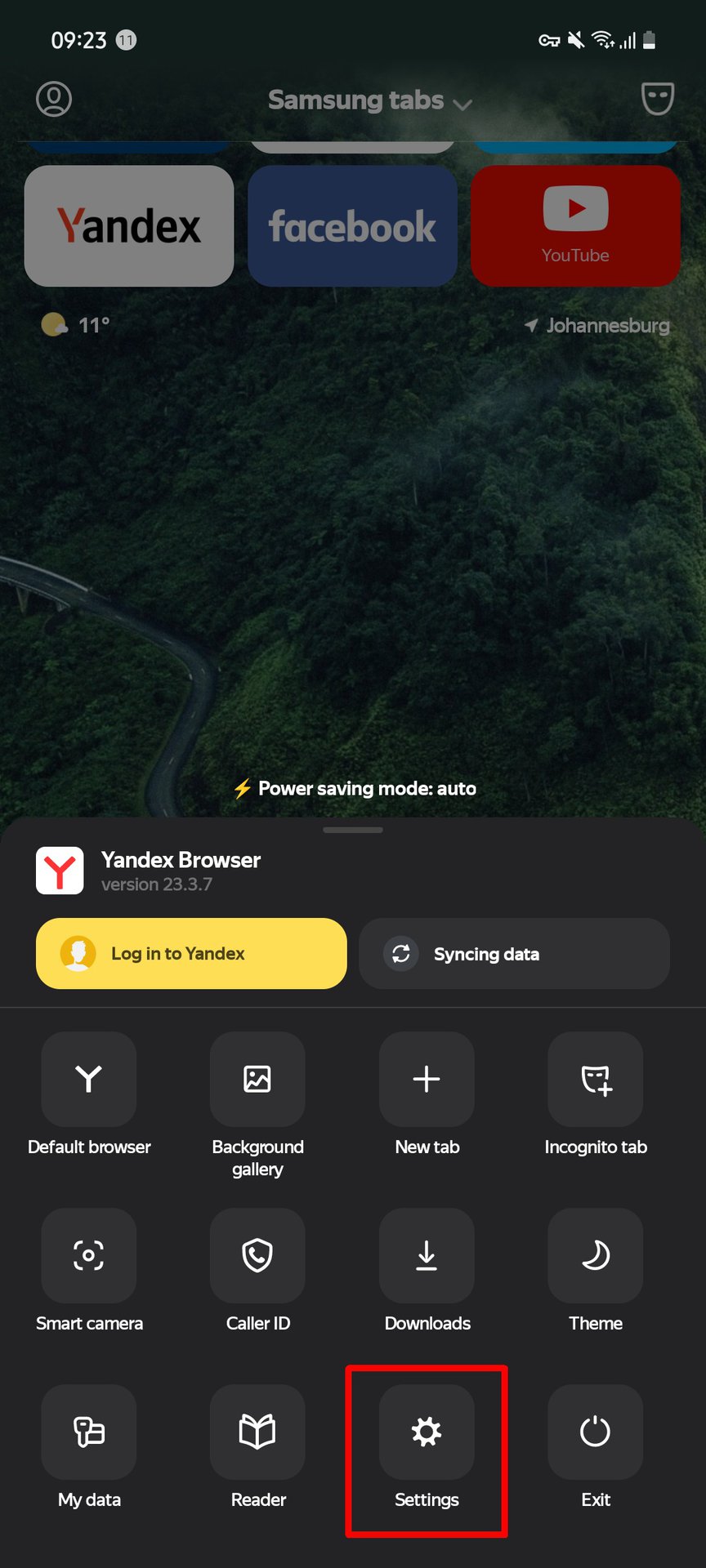 yandex extensions 1