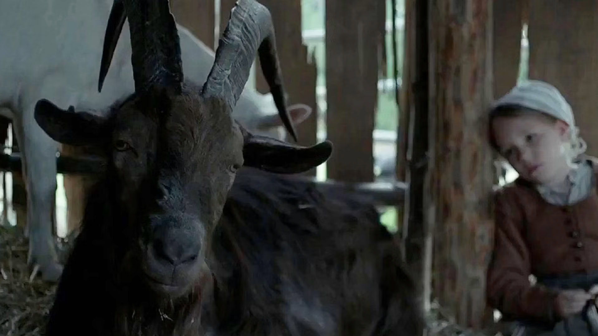 Black Phillip in The Witch