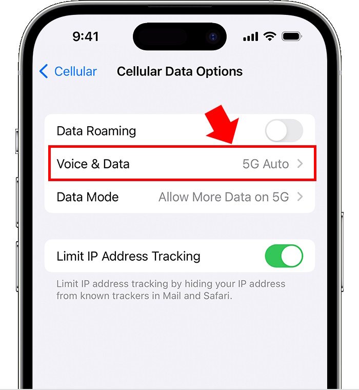 How to change preferred network type to 5G on iPhone 1