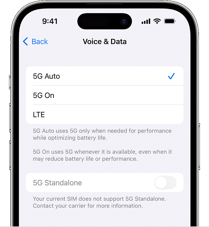 How to change preferred network type to 5G on iPhone 2