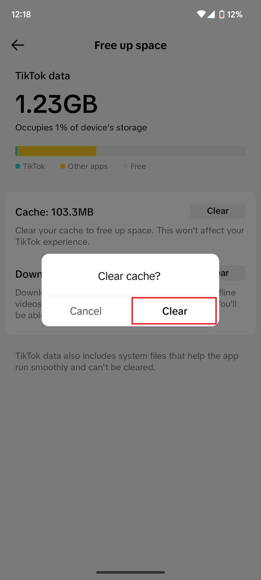 How to clear cache on TikTok app (5)