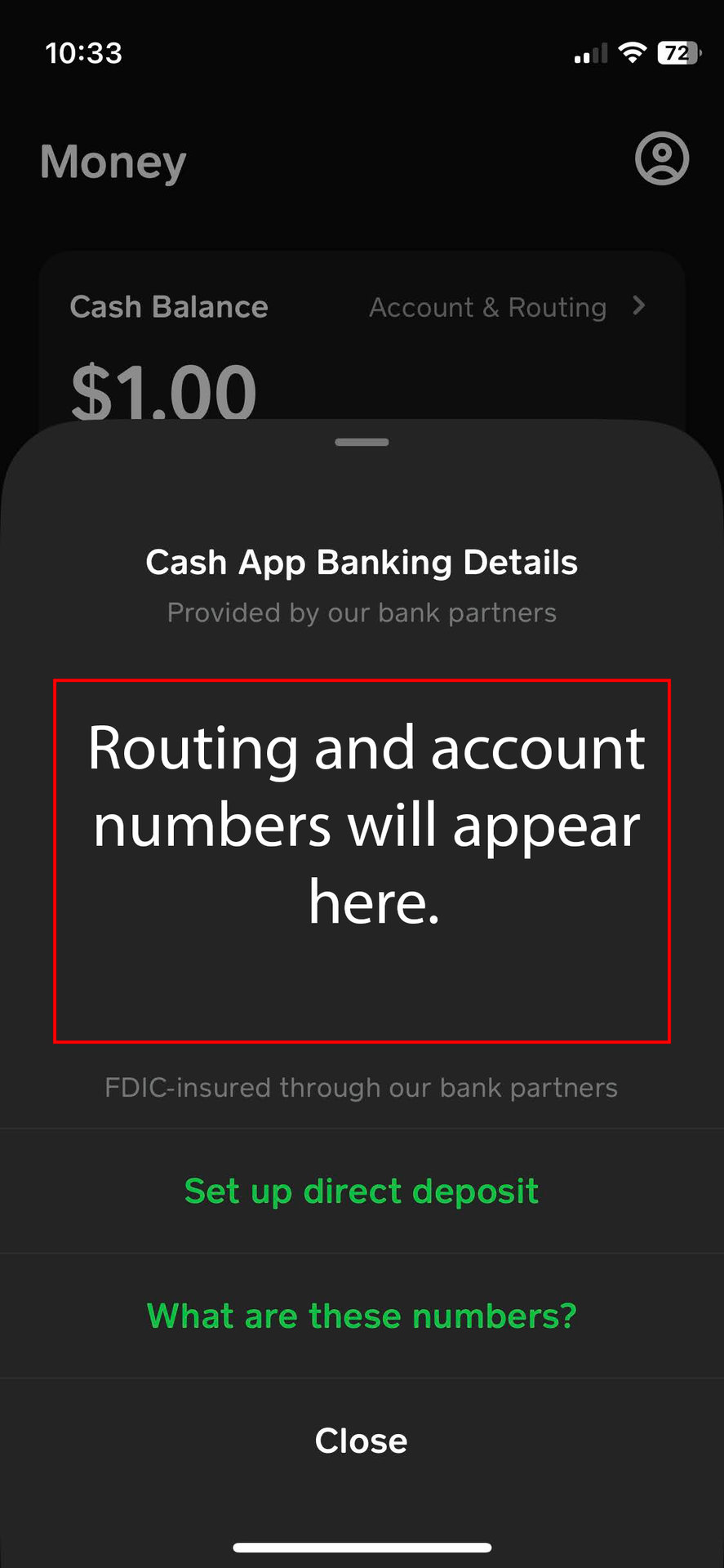 How to find your routing and account number on Cash App 2