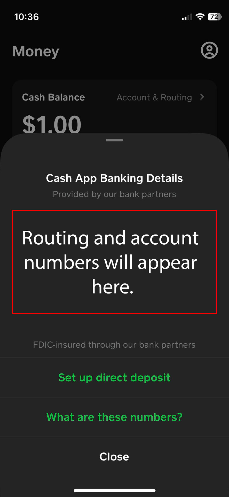 How to get your Cash App bank name with the routing number 2