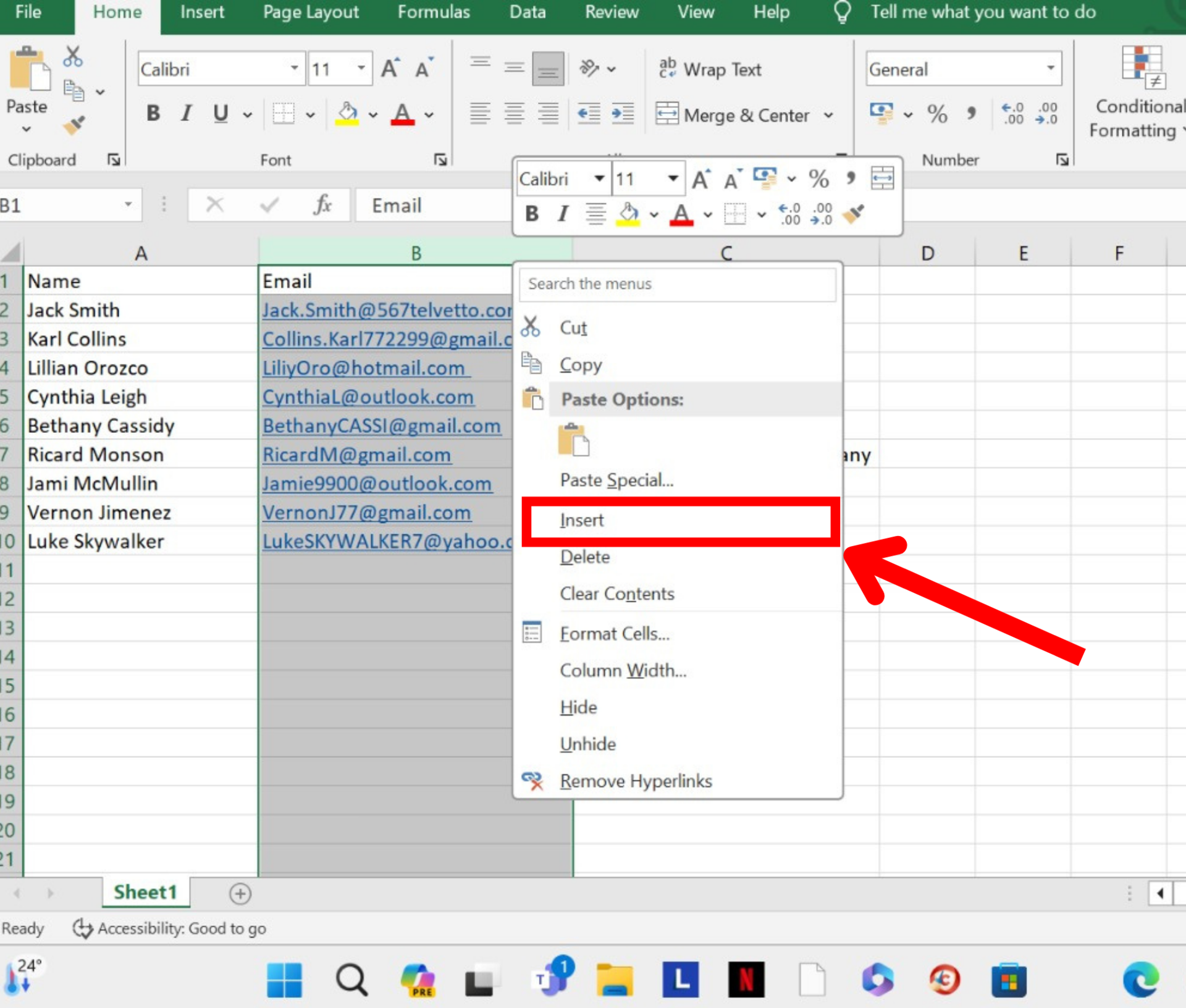 Microsoft Excel Insert button