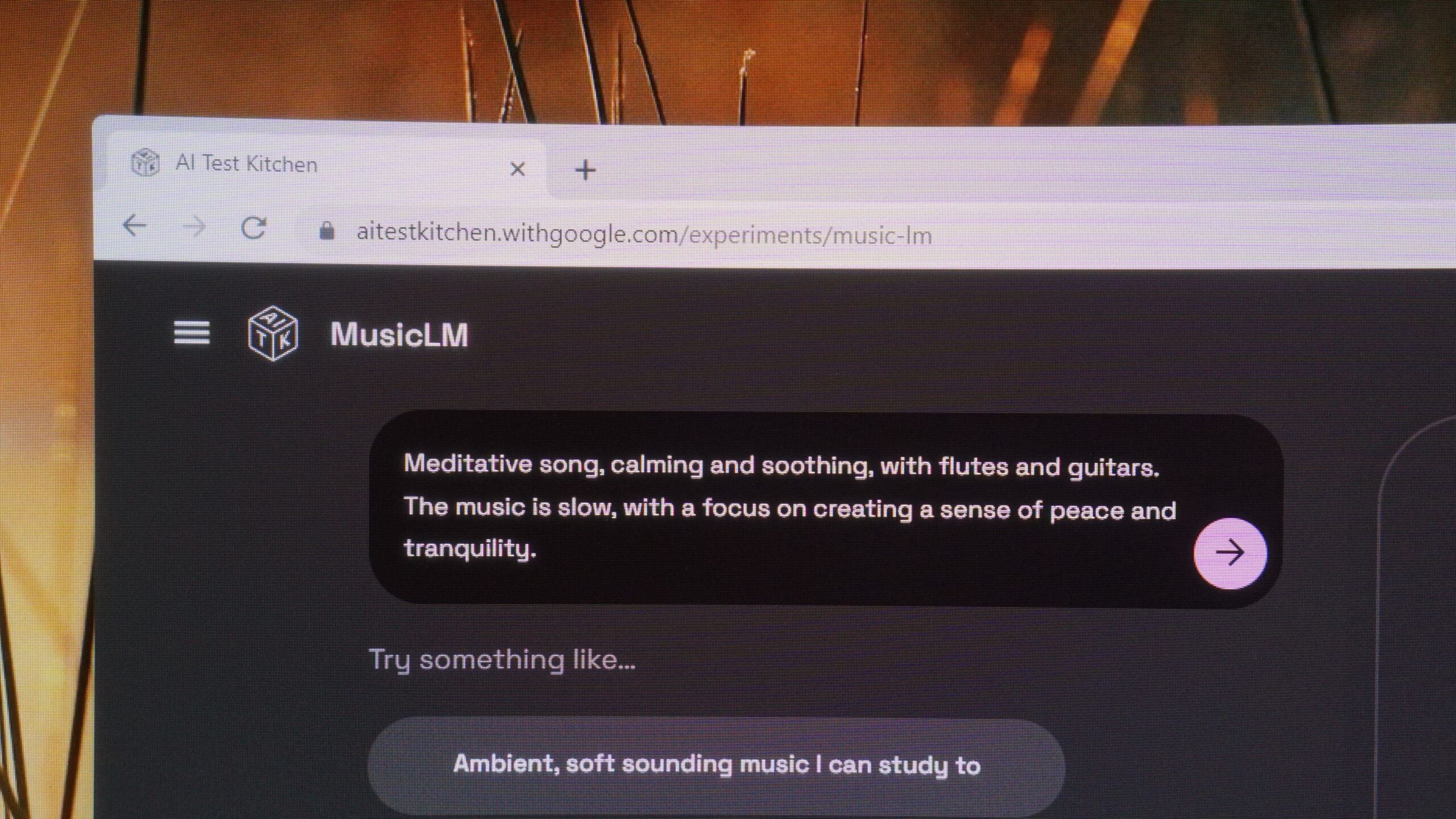 google musiclm prompt field