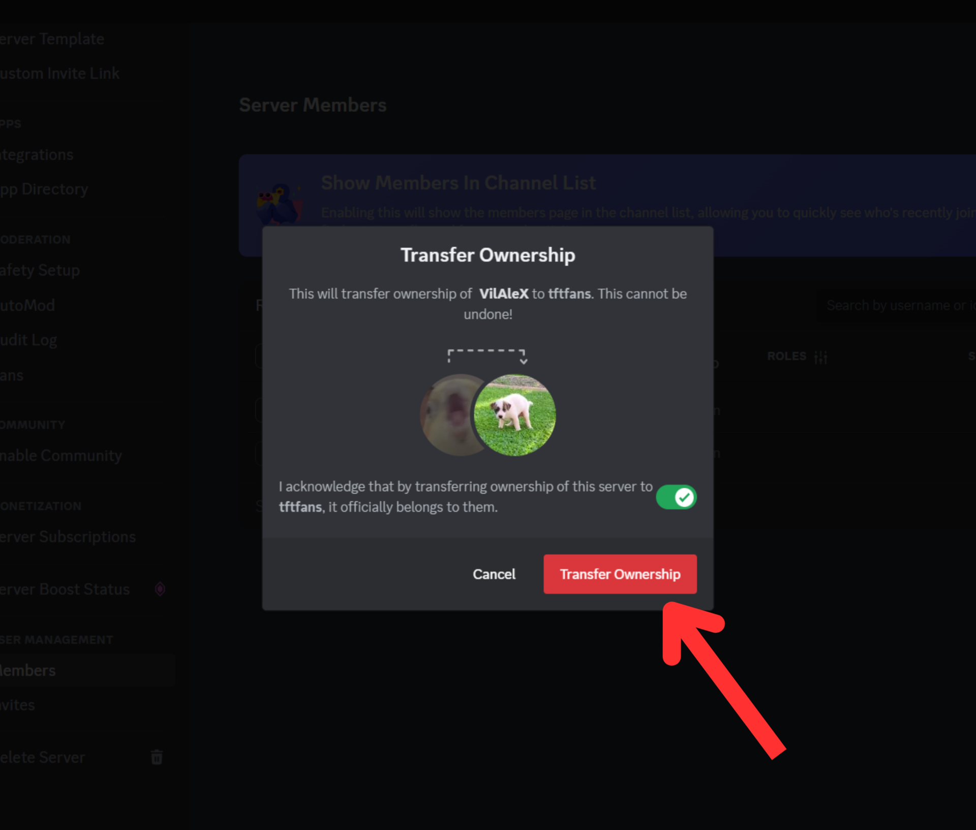 Discord settings server members transfer ownership confiration button