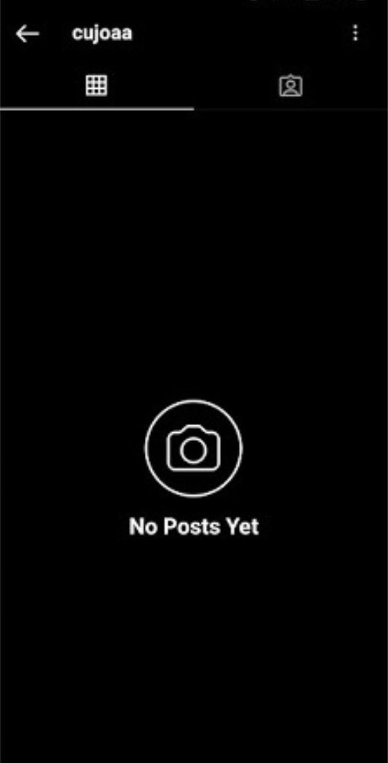instagram profile no post yet