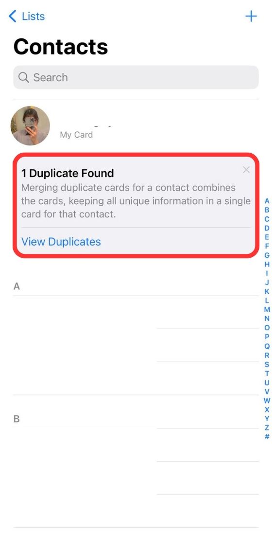 contacts duplicate found