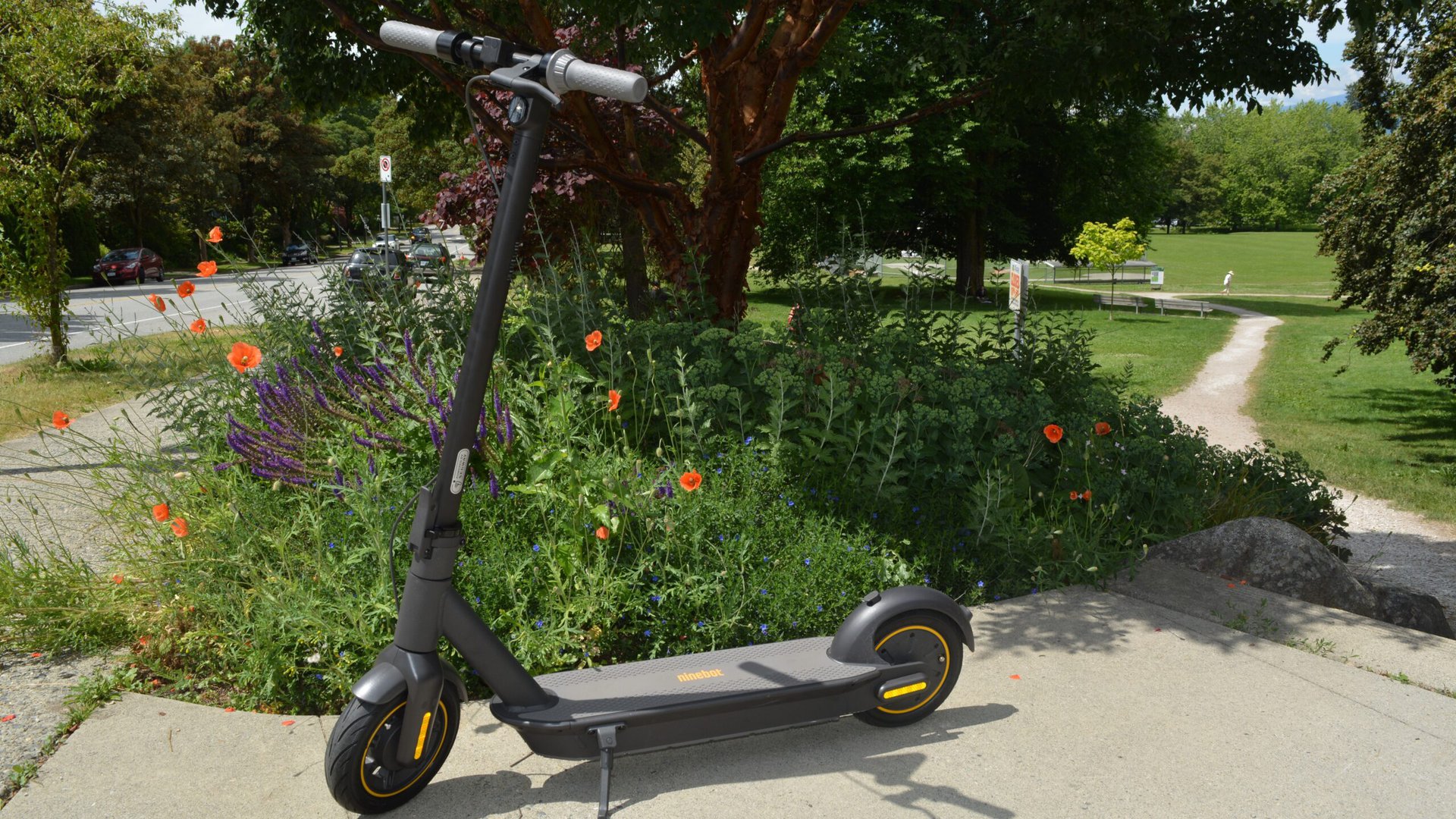 segway ninebot max standing flowers