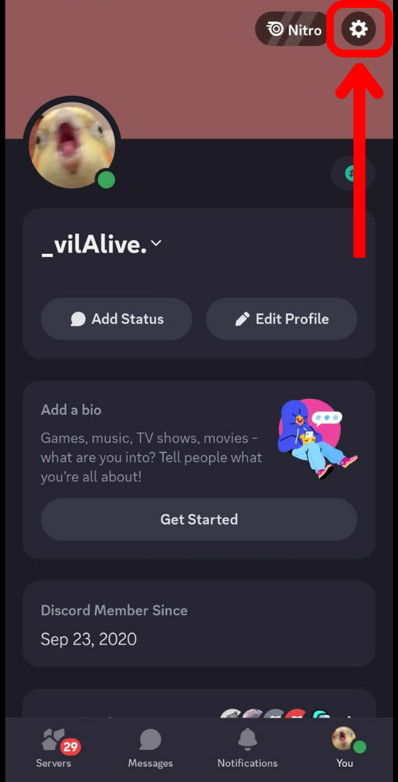 discord app profile gear icon