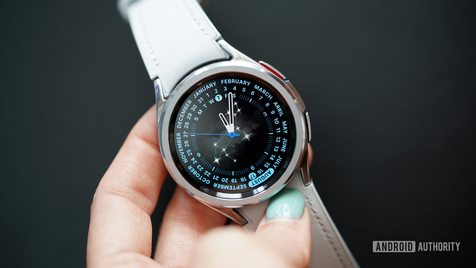 A user sets the Perpetual watch face on their device.