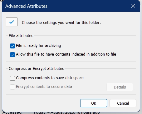 Windows encryption option greyed out