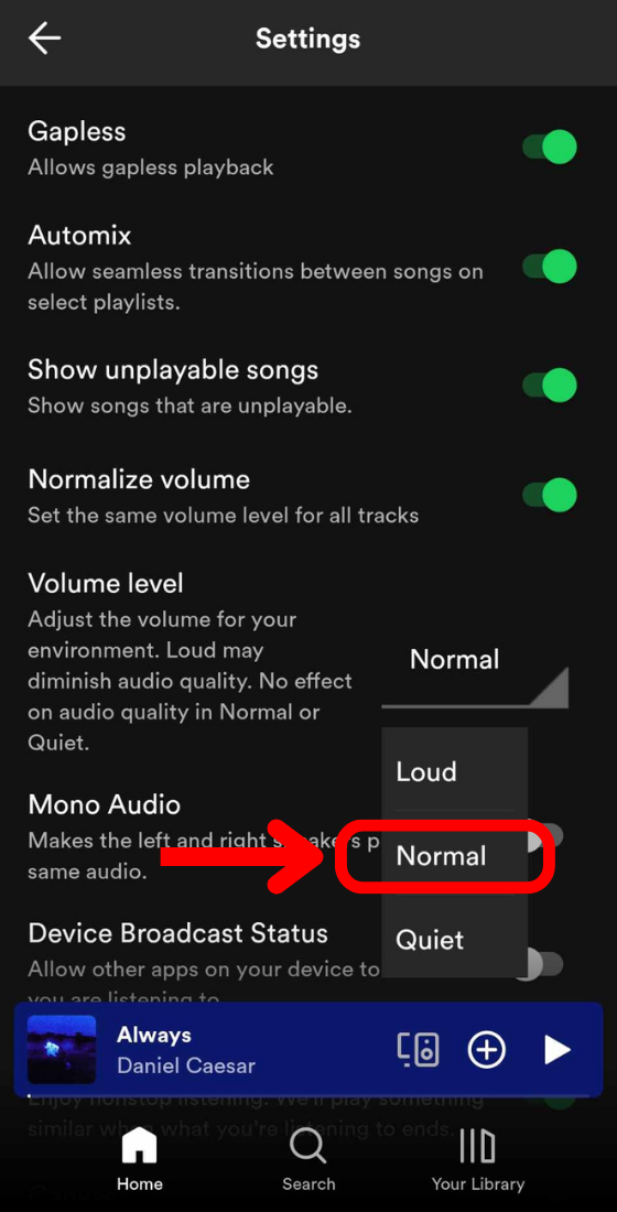 Spotify mobile app settings and privacy volume level normal