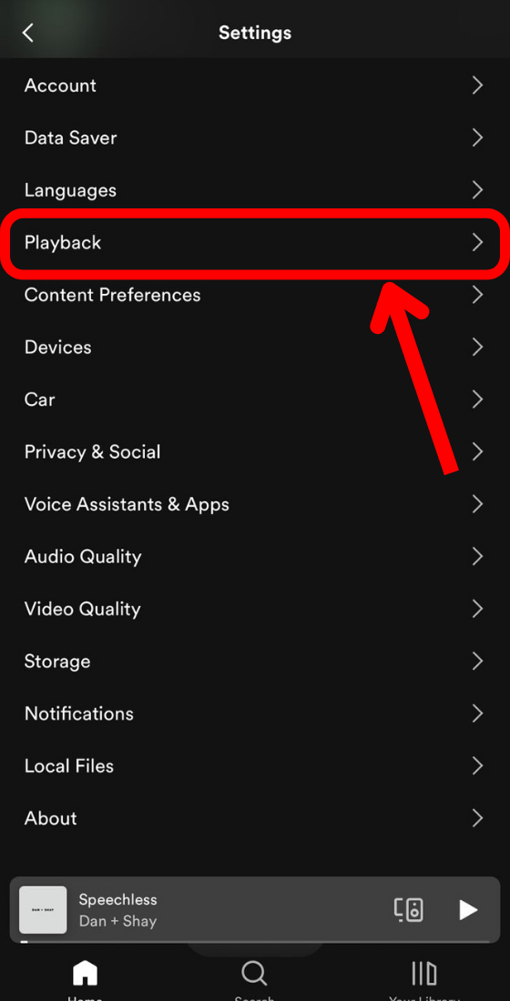 Spotify app settings playback