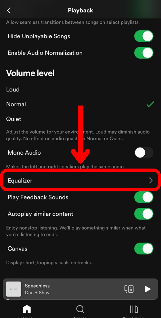 Spotify app settings playback equalizer