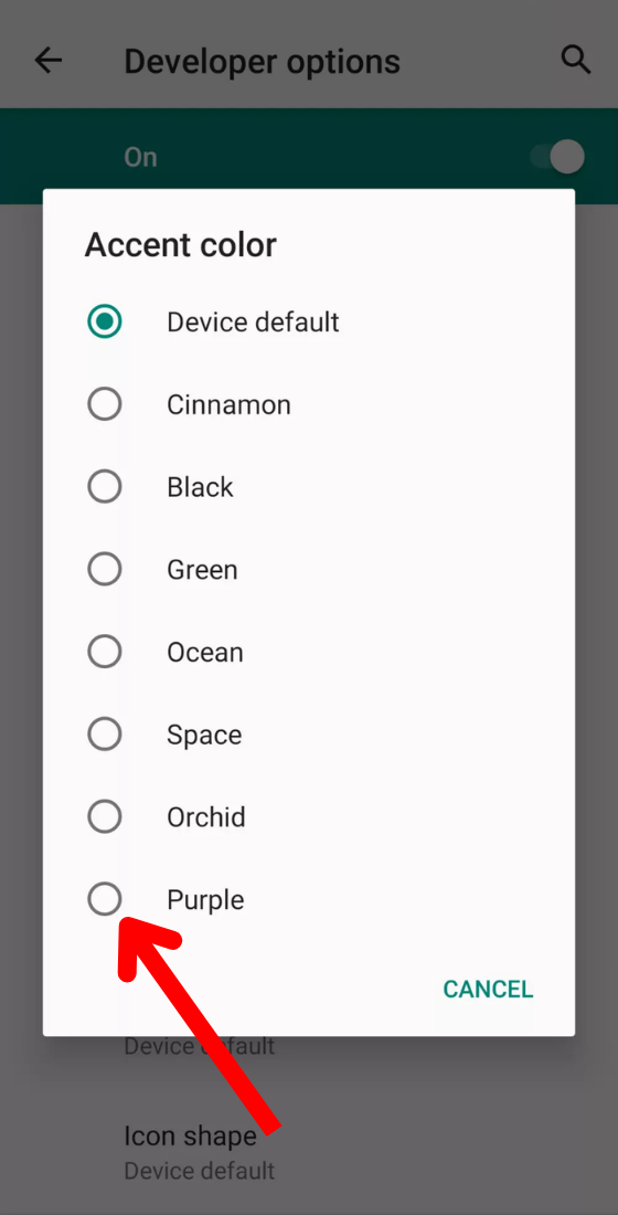 android 10 settings system developer options accent color options