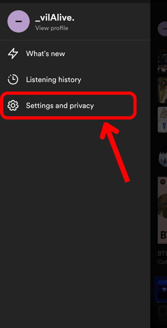 spotify mobile app settings and privacy