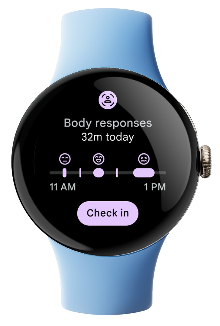 Pixel Watch 2 Body Responses