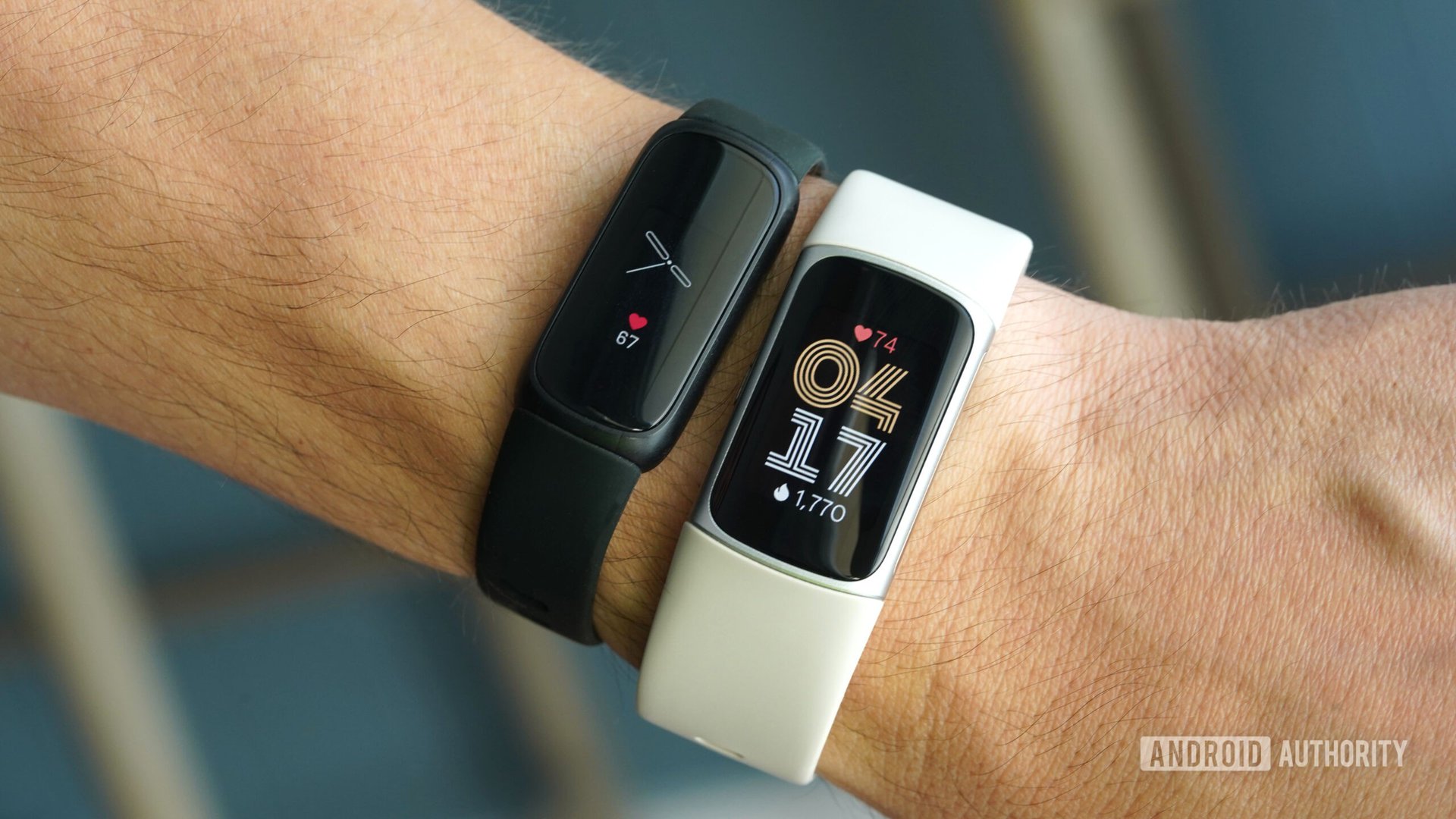 A user wears a Fitbit Charge 6 alongside a Charge 5.
