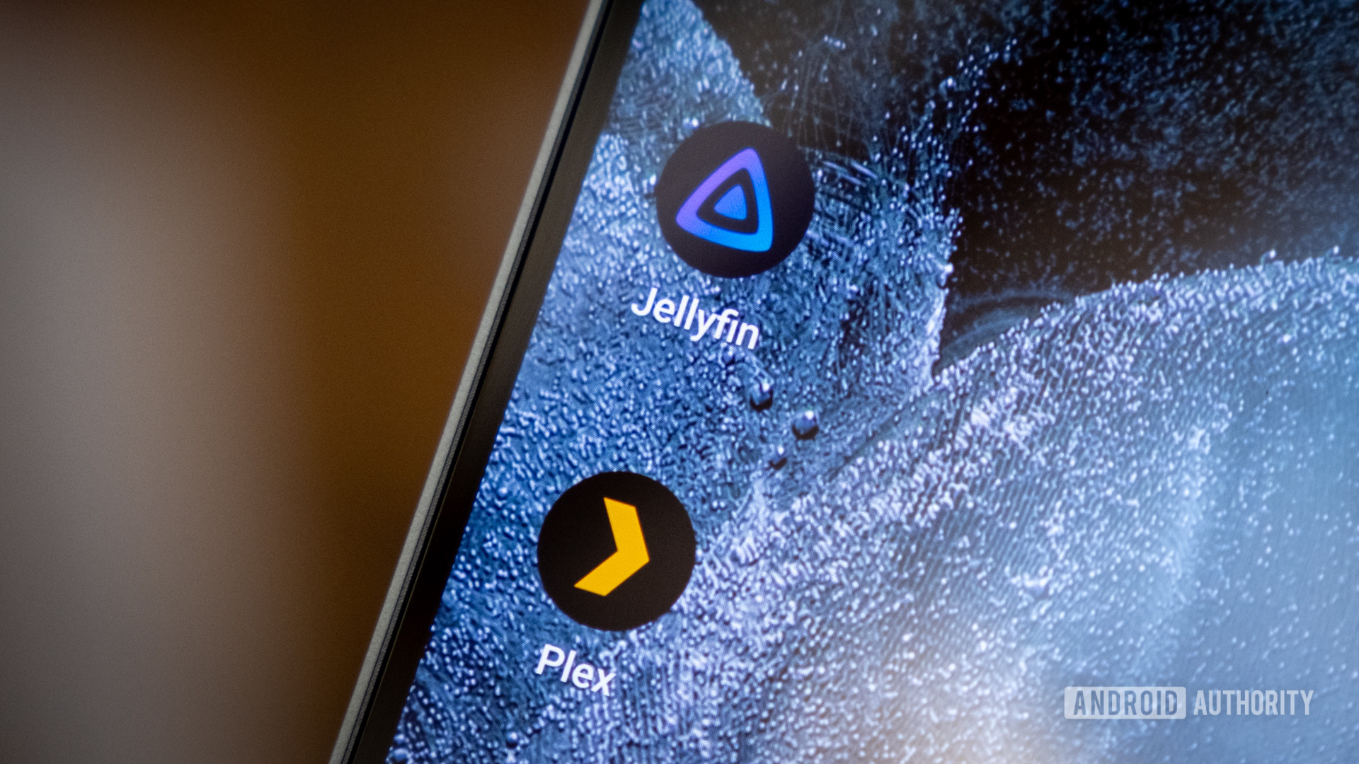 Jellyfin vs Plex app icons