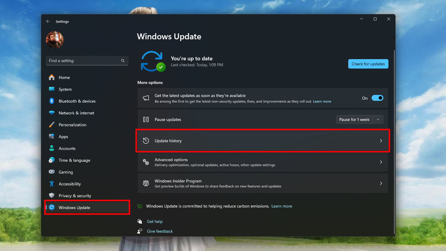 Uninstall a recent Windows Updates (1)