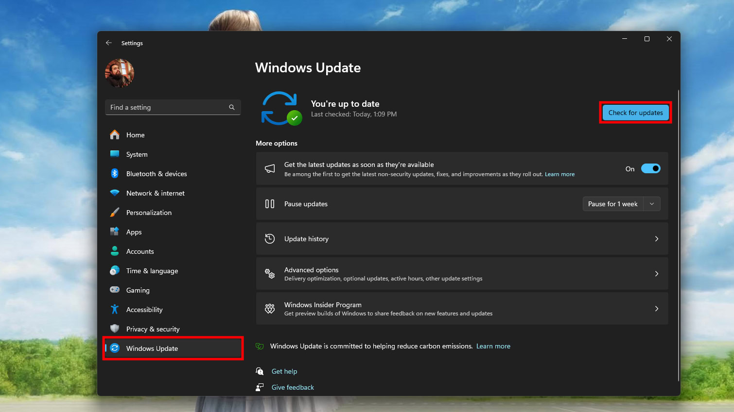 Update Windows 11