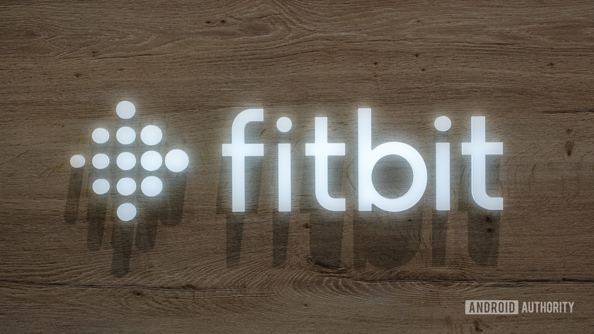 fitbit logo ifa 2023