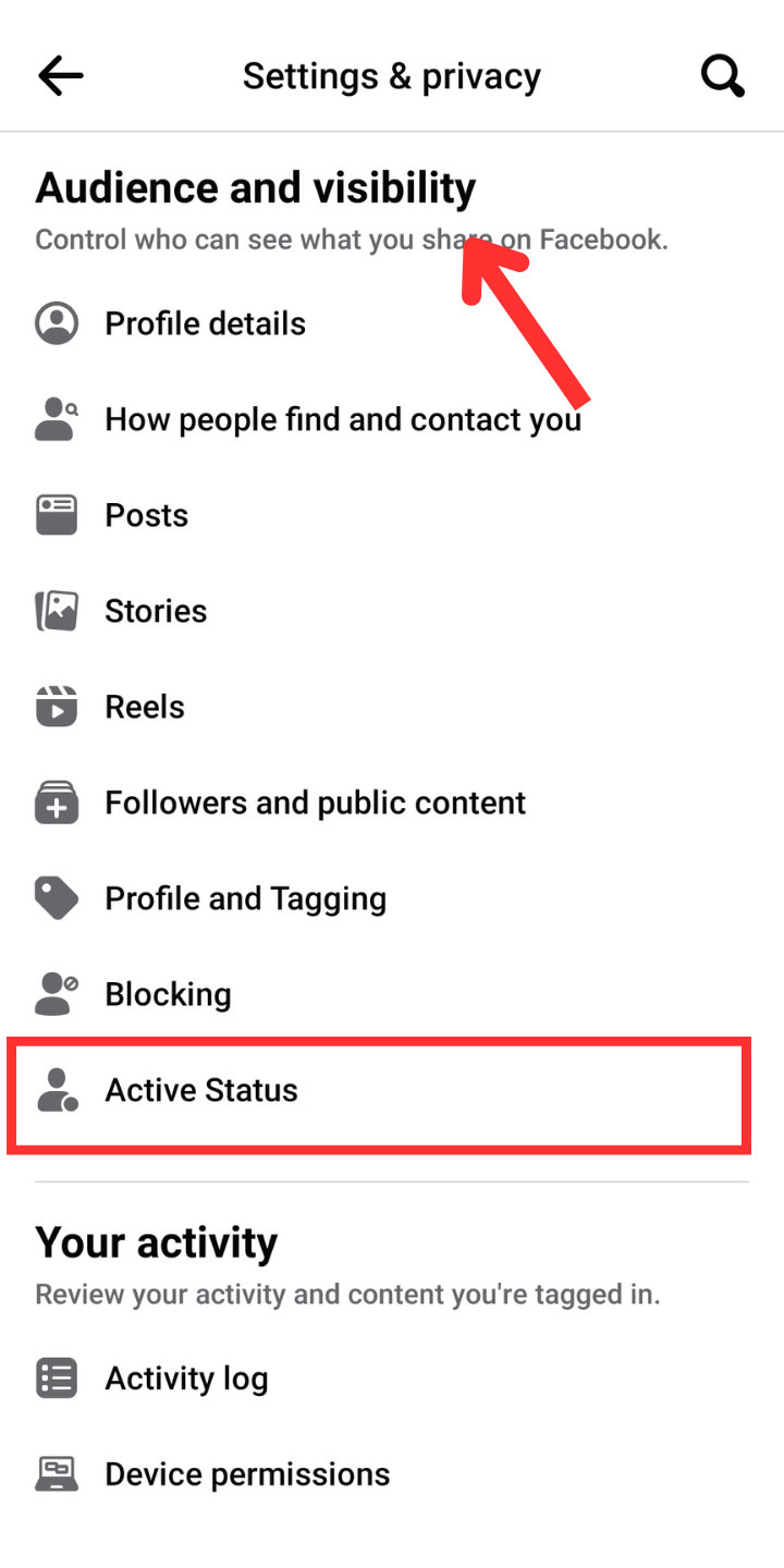Facebook app Settings & privacy menu Audience and visibility section Active status
