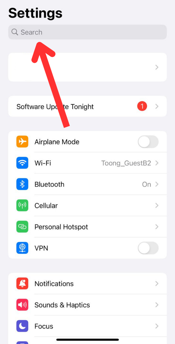 iOS phone Settings search bar