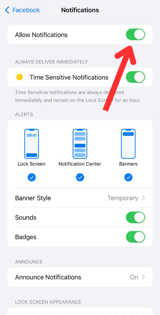 iOS phone Application Notifications settings toggle button