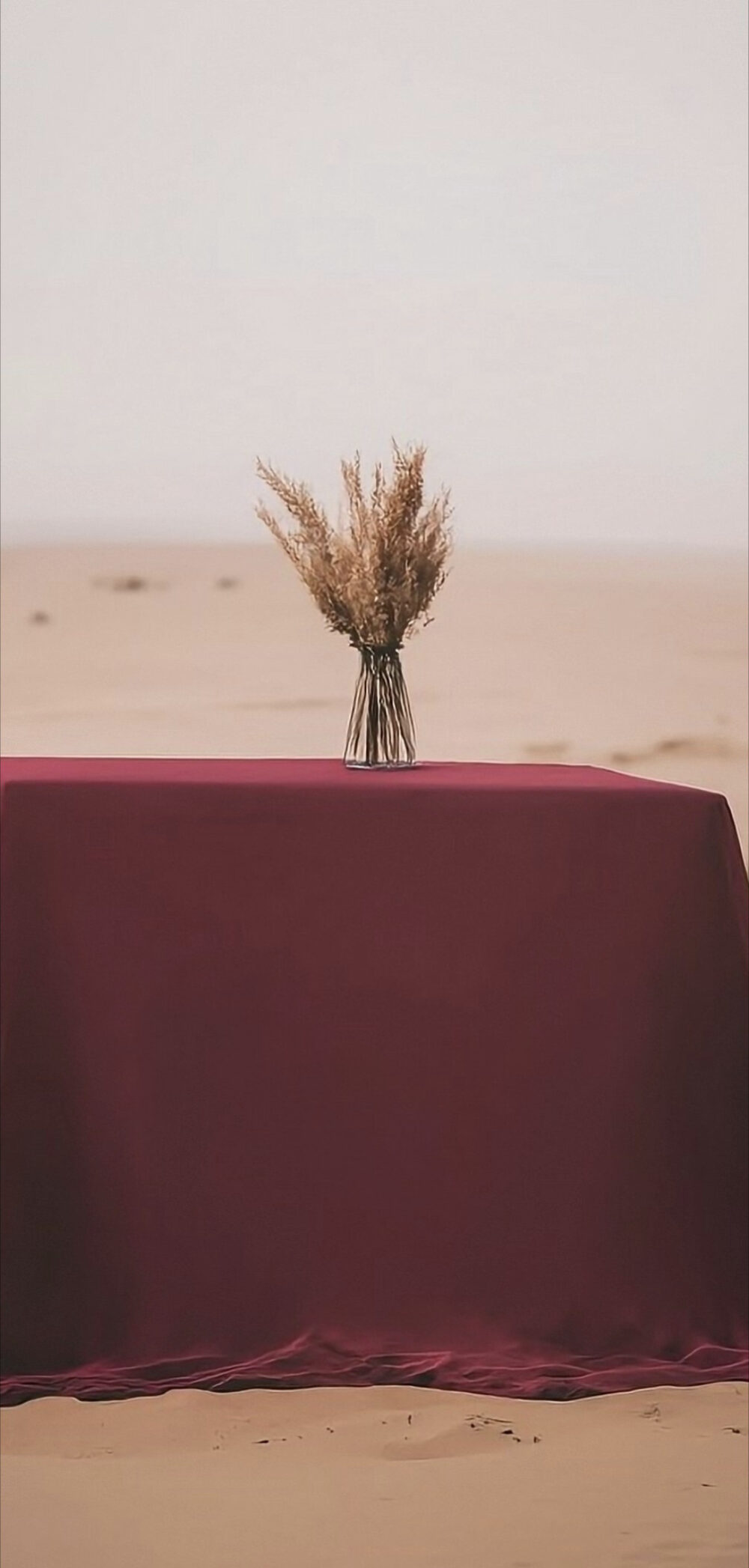 Android 14's AI wallpapers are super cool, check them out! - Android