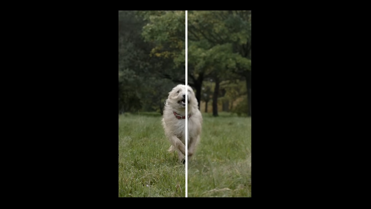 December 2023 Pixel Feature Drop Photo Unblur for animals